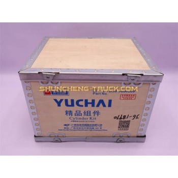 Поршневая группа YUCHAI YC4D80-T20 (оригинал)