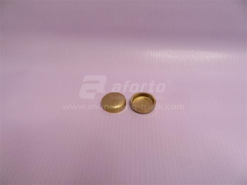 Заглушка блока двигателя (ф-25) WD615 медные