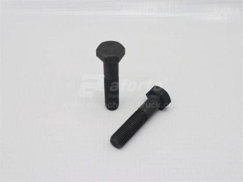 Болт 10*45*1.25 для крепления форсунок WEICHAI DEUTZ WP6.210E32