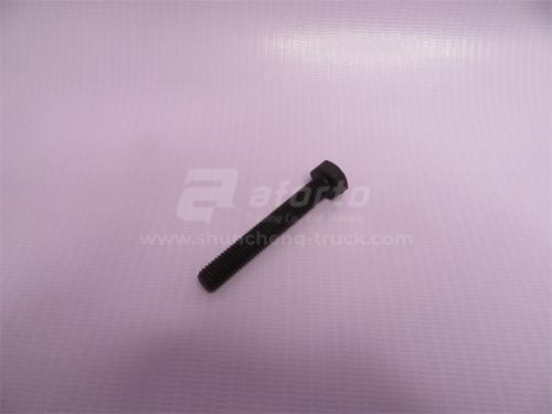 Болт 8*55*1.25 прижима форсунки WD615 (хорошее качество)