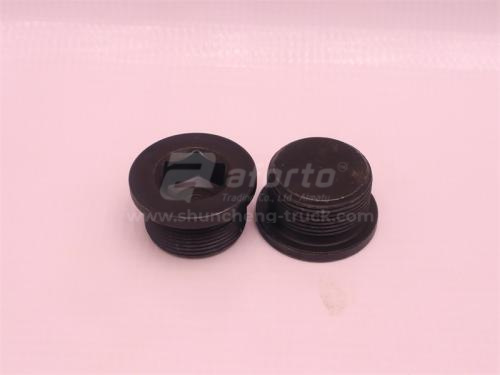 Пробка под шестигранник 30*20*1.5 резьбовая резьбовая  WP12.430E201 (оригинал)