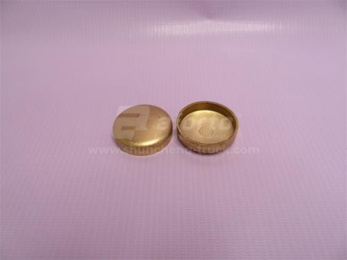 Заглушка блока двигателя (ф-40) WD615 медные