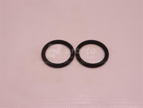 Кольцо уплотнительное кронштейна тормозных колодок SINOTRUK MCP16 (оригинал)