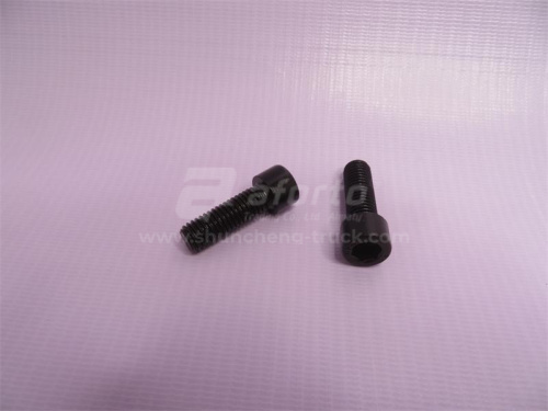 Болт под шестигранник 10*30*1.5 крышки лобовая ДВС WP12.420E32