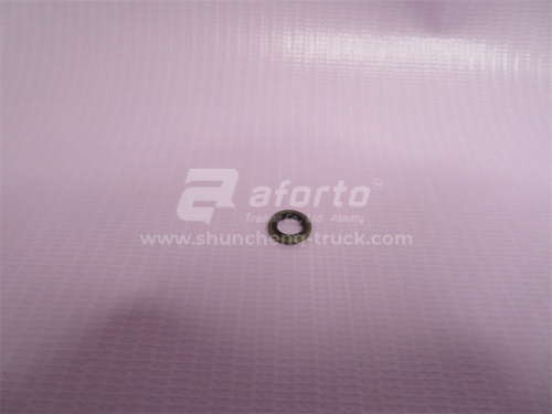 Шайба резинометалическая D = 6 (100 шт)