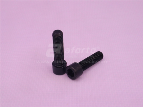 Болт под шестигранник 12*45*1.75  передней подножки U-труби HOWO TX