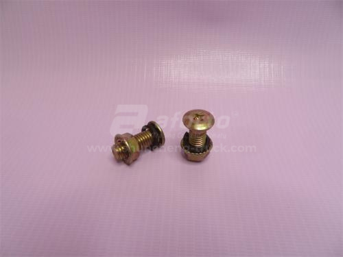 Болт 10*25*1.5 накладки тормозной STEYR