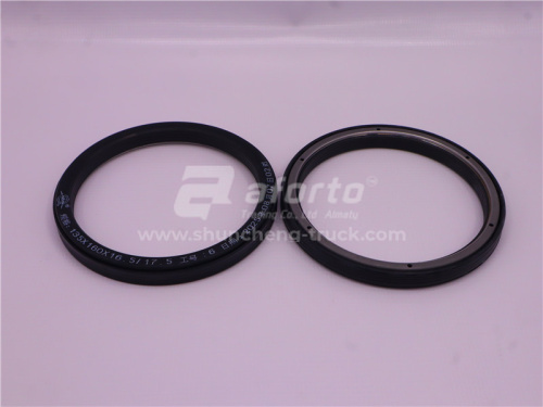 Сальник ступицы передней HOWO TX/SITRAK VGD95 135*160*16.5/17.5 QINYAN