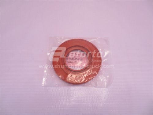 Сальник 60*124*12