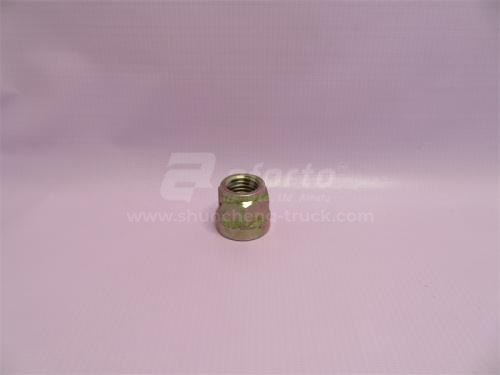 Гайка 24*3.0 стремянки задней 24мм STR/HOWO