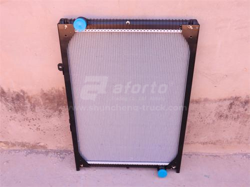 Радиатор охлаждения SHAANXI F3000/X3000 2212 (оригинал)