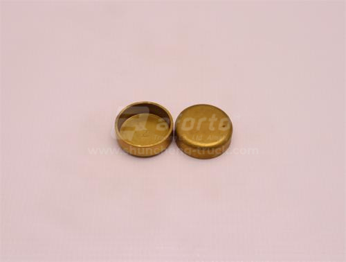 Заглушка блока двигателя D12/WP12 D=36