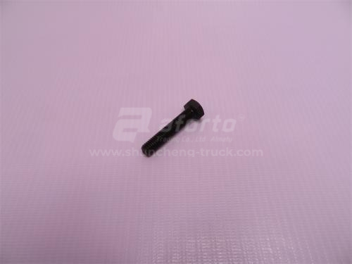 Болт поддона 8*40 WD615 (хорошее качество)