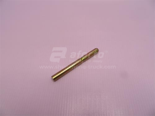 Палец тормозных колодок HOWO 10*100