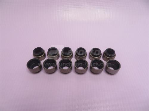 Сальник клапана Euro I 67