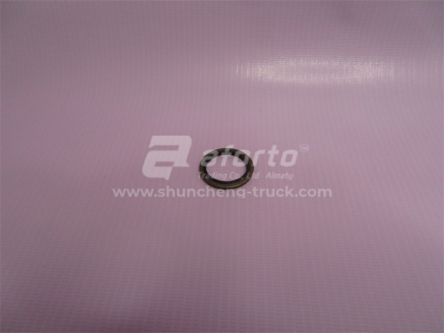 Шайба резинометалическая D = 22 (100 шт)