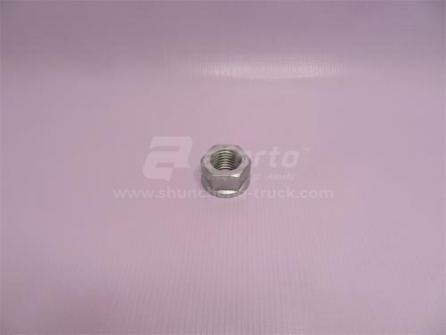 Гайка 24*3.0 стремянки задней 24мм STR/HOWO (хорошее качество)