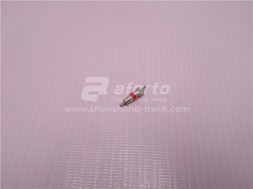 Золотник для камеры