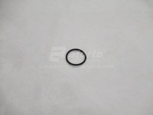 Кольцо уплотнительное вал блокировки дифференциала межосевого дифференциала HANDE 469/TGX/HANDE 440 