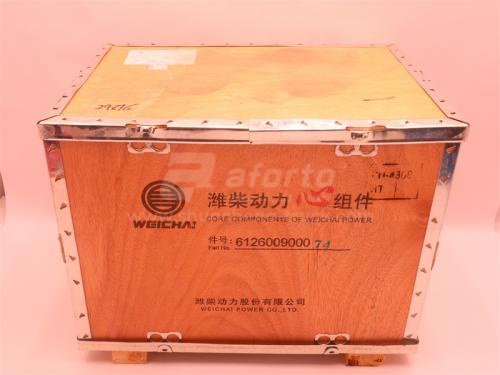 Поршневая группа WD615.68C (оригинал)