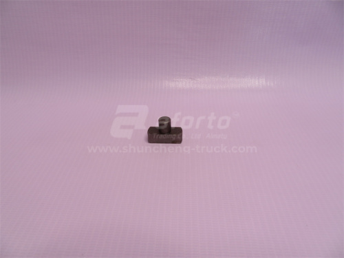 Сухарь вилки блокировки среднего моста STEYR