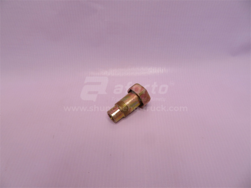 Сопун моста STEYR