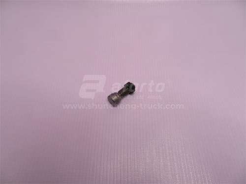 Винт 10*35*1.0 регулировочный ограничителя хода коромысла WP10 EVB (хорошее качество)