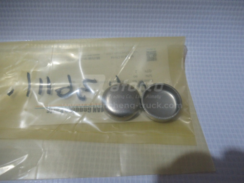 Заглушка блока двигателя CUMMINS ISM11