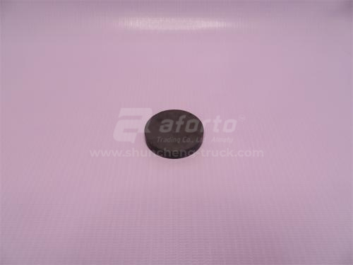 Магнит КПП FAST