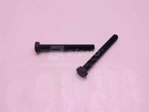 Болт 8*65*1.25 крышки термостата MAN MC11/MC13