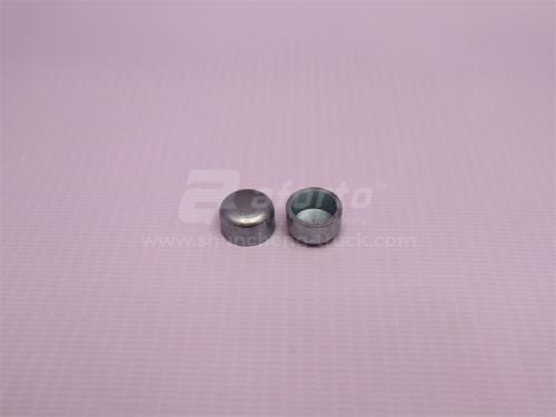 Заглушка блока двигателя D12/WP12 D=14 (оригинал)