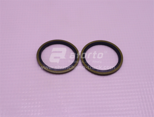 Шайба резинометалическая D = 33 (100 шт)