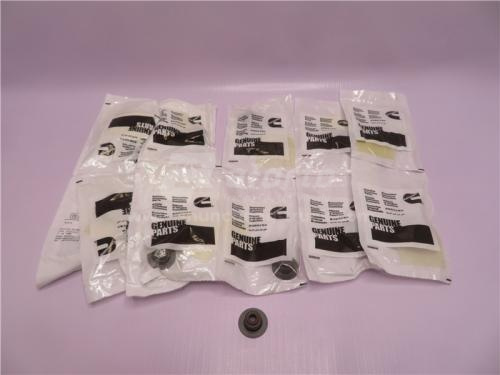 Сальник клапана E4-25R-030274