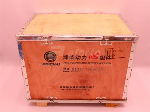 Поршневая группа WD615E2-3A/D10 (оригинал)