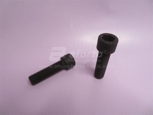 Болт под шестигранник 14*50*2.0 суппорта тормозного HOWO 2009