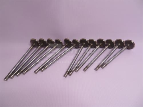 Клапан ДВС выпускной SINOTRUK EGR 4 клапана (12шт) (оригинал)