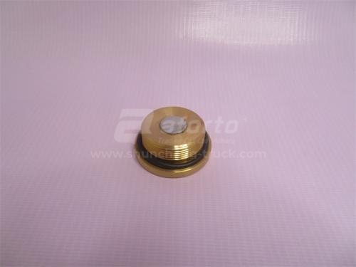 Заглушка резьбовая на мост STEYR