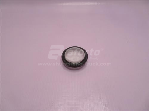 Сальник лобовой ISF2.8s4161P