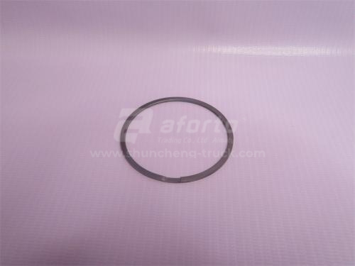 Кольцо выпускного коллектора WP12