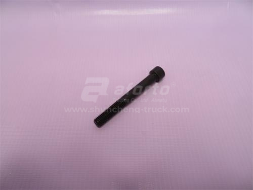 Болт под шестигранник 10*80*1.5 кронштейна ТНВД (хорошее качество)