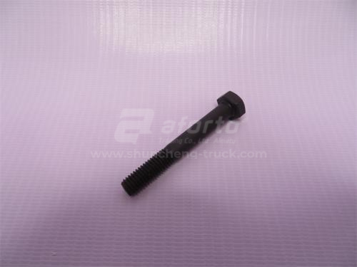 Болт 8*60*1.25 крышки термостата HOWO (хорошее качество)