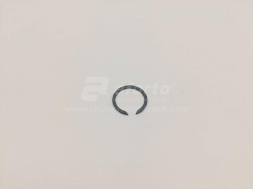 Кольцо стопорное КПП FAST G32163 (оригинал)