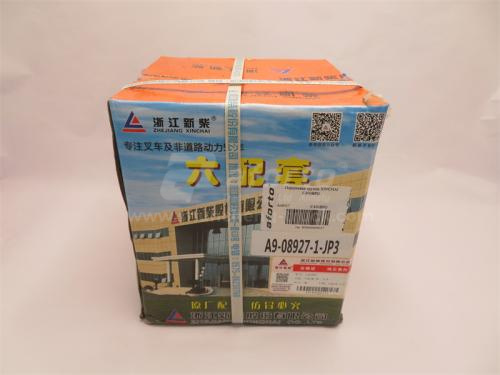 Поршневая группа XINCHAI C490BPG-236/300 38/49