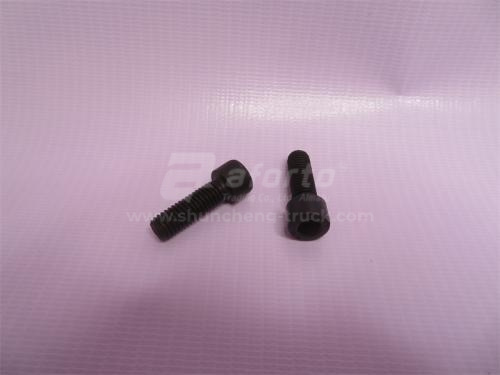 Болт 8*25*1.25 под шестигранник суппорта тормозного HOWO 2009