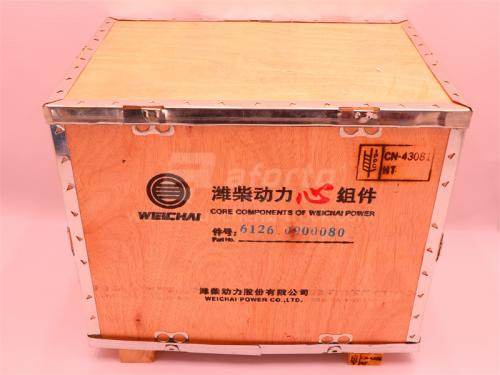 Поршневая группа WD618 (оригинал)