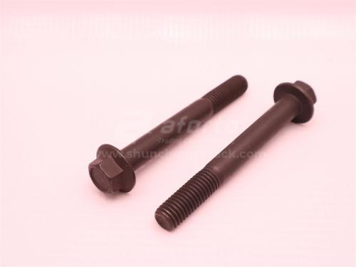 Болт с шляпкой 10*80*1.5 натяжителя WP13/WP12.430E201 (оригинал)