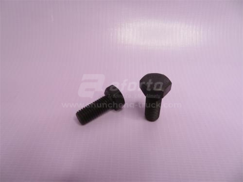 Болт 10*25*1.5 WD615 Euro II D00933 (хорошее качество)