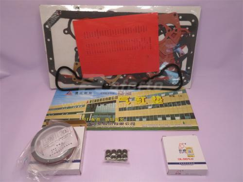 Ремкомплект двигателя XINCHAI C490BPG-236/300 полный (все прокладки +сальн)