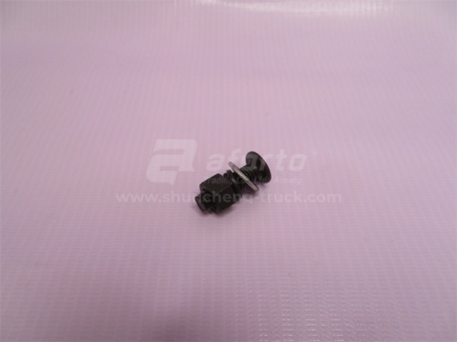 Болт 8*25*1.25 накладки тормозной