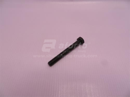 Болт 10*80*1.5 WD615 Euro II M10x80 D00931 (хорошее качество)